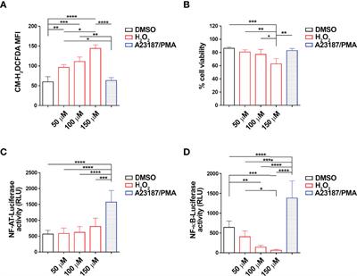 p66Shc Deficiency in Chronic Lymphocytic Leukemia Promotes Chemokine Receptor Expression Through the ROS-Dependent Inhibition of NF-κB